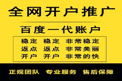 搜索引擎营销（SEM）的创意与执行——以多个行业成功案例为教学